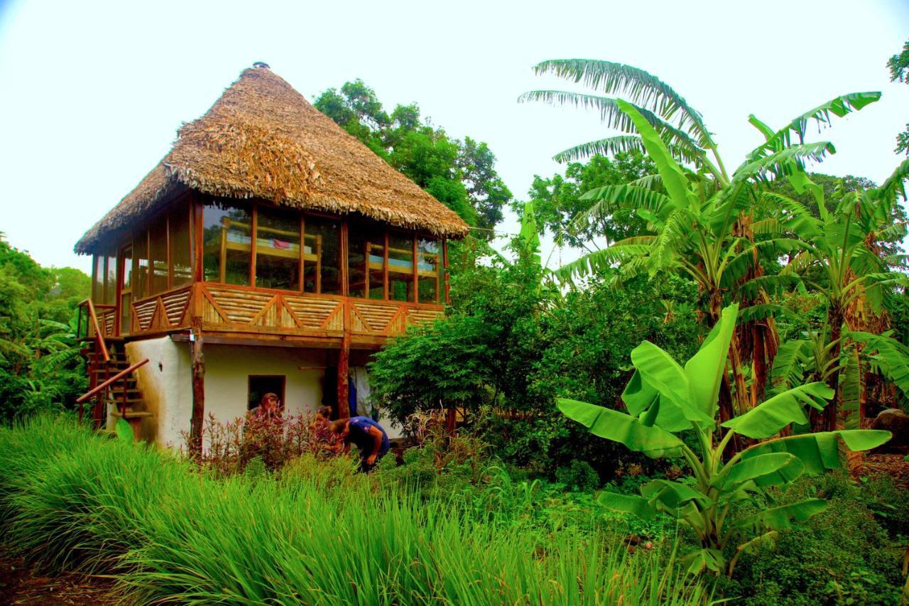 El Pital, Chocolate Paradise Hostal