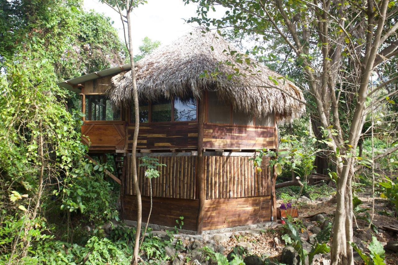 El Pital, Chocolate Paradise Hostal