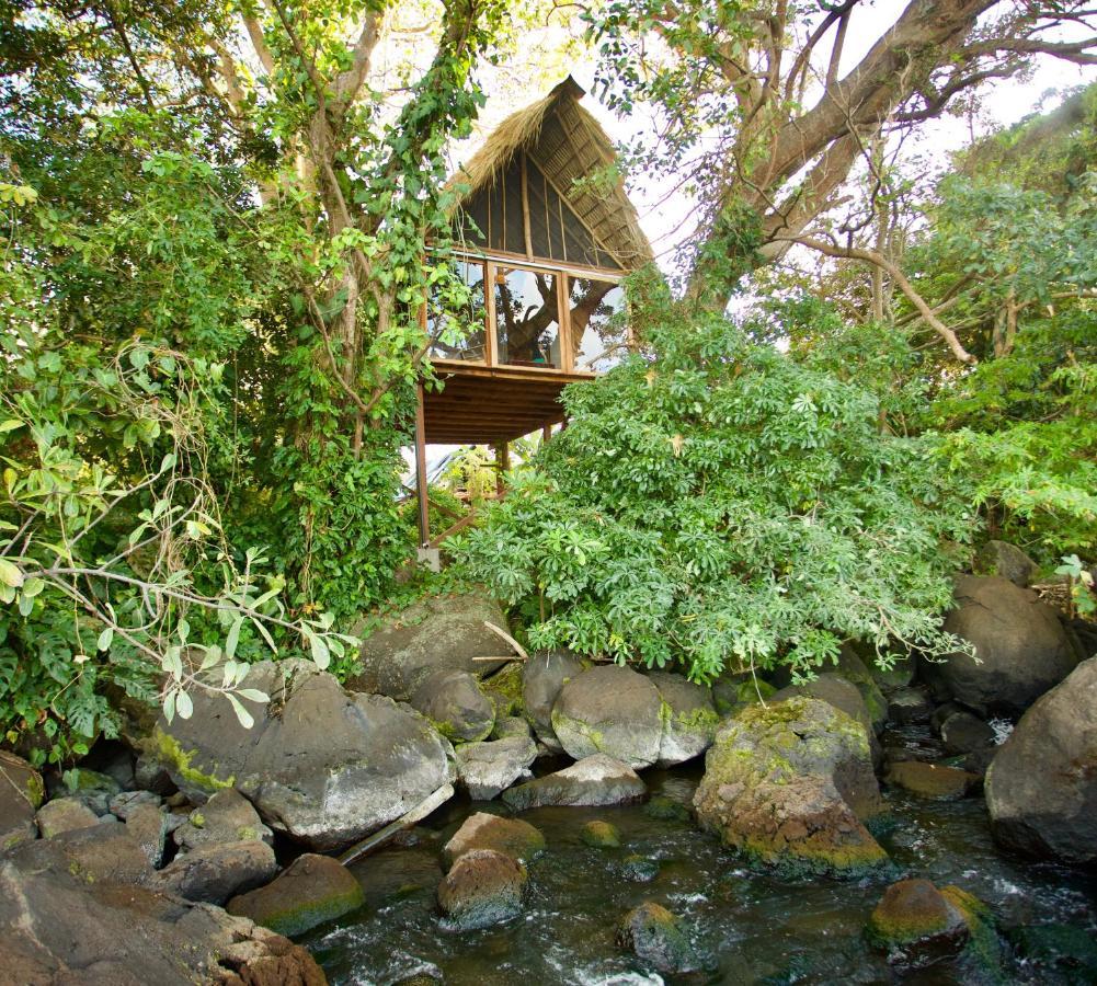 El Pital, Chocolate Paradise Hostel