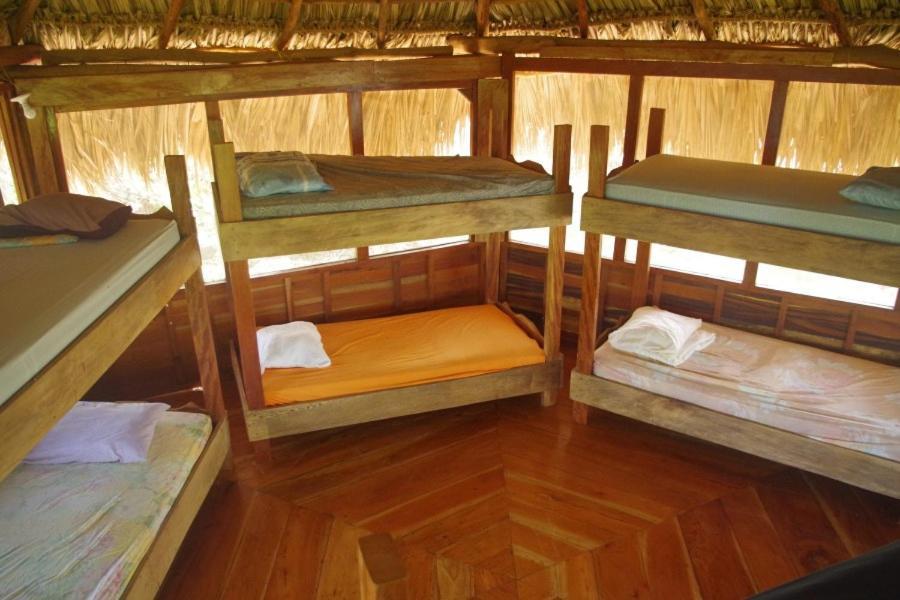 El Pital, Chocolate Paradise Balgue