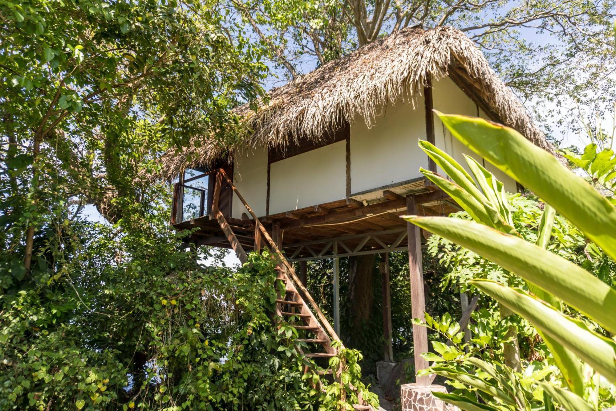 El Pital, Chocolate Paradise Hostal Balgue