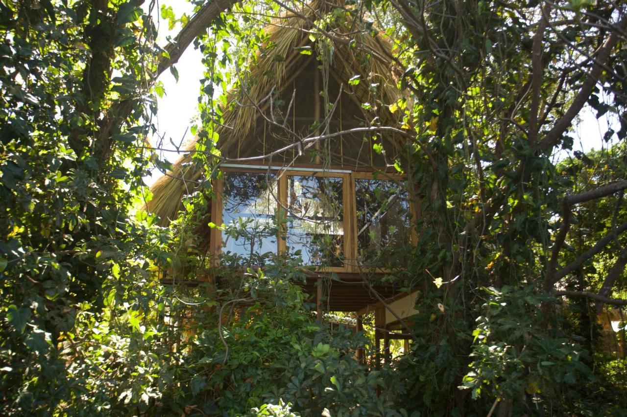 El Pital, Chocolate Paradise Hostel Balgue