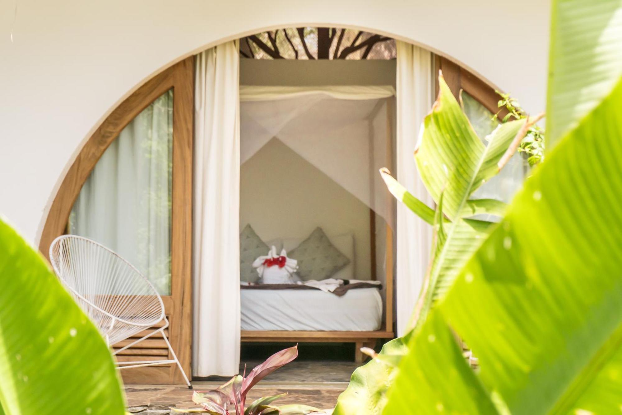 El Pital, Chocolate Paradise Hostel Balgue